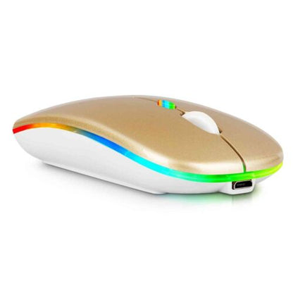 RGB Rechargeable Mouse